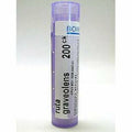 Ruta graveolens 200CK 80 plts S599