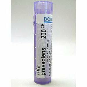 Ruta graveolens 200CK 80 plts S599
