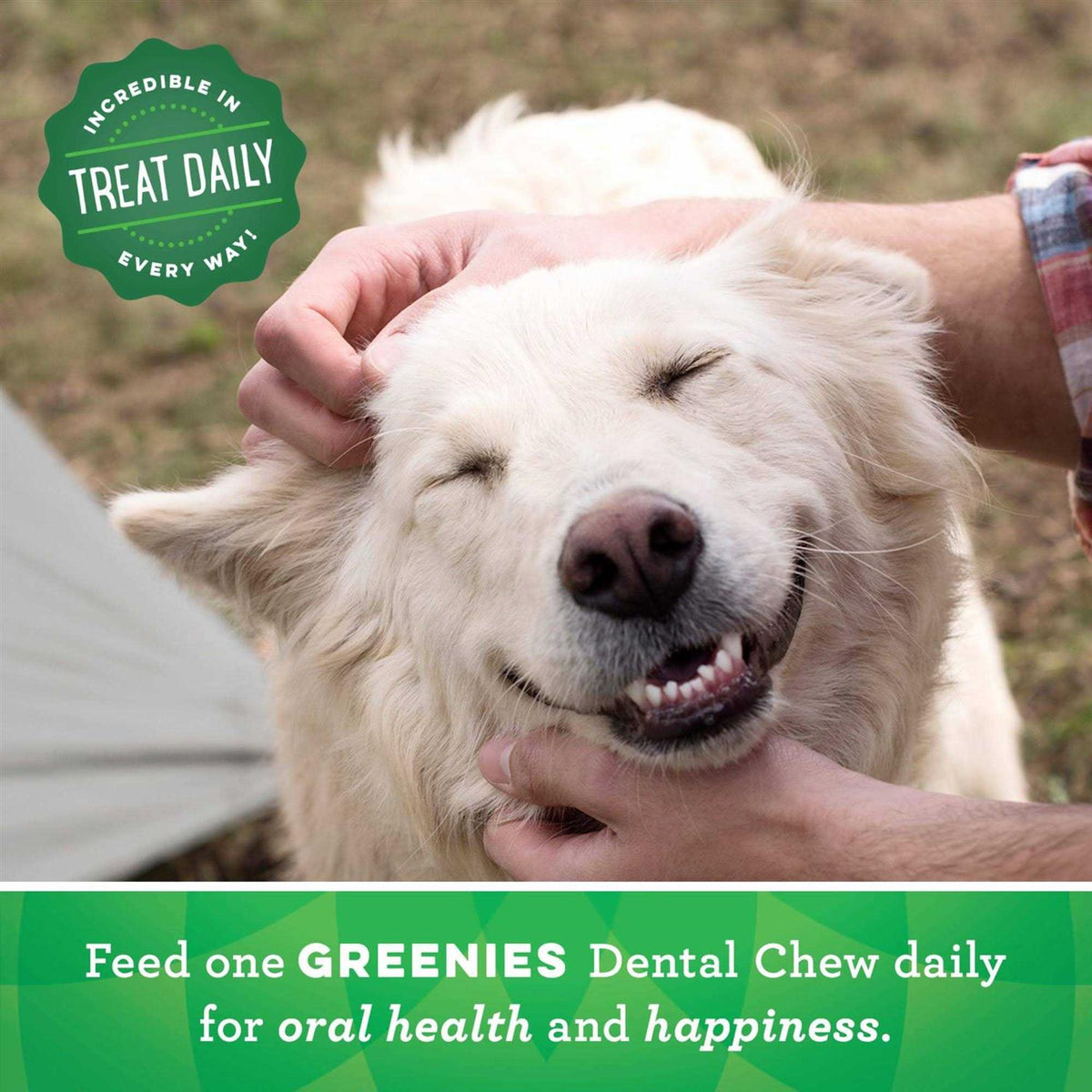 Dental Dog Treats J3980