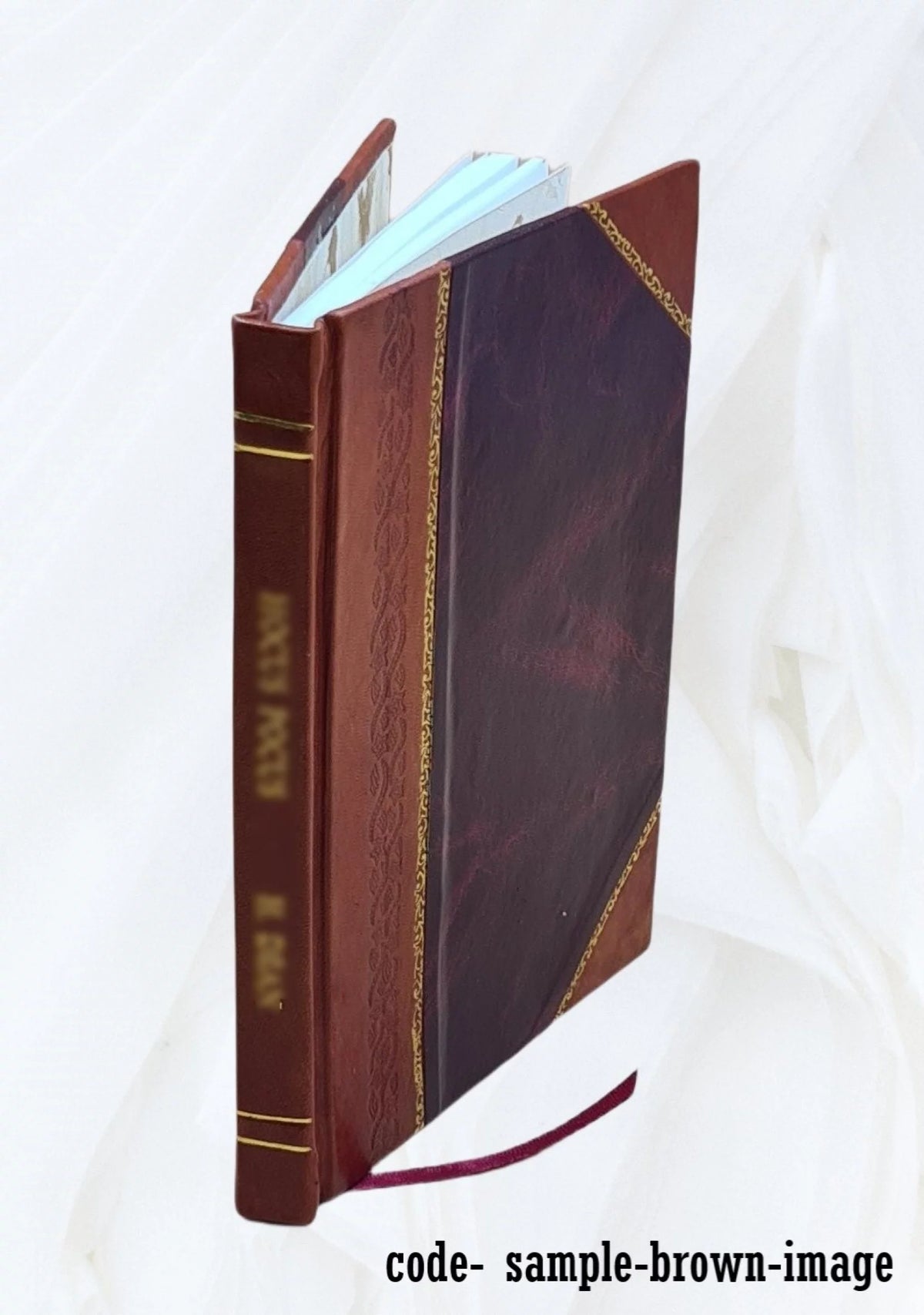 Leather Bound Book Z597817