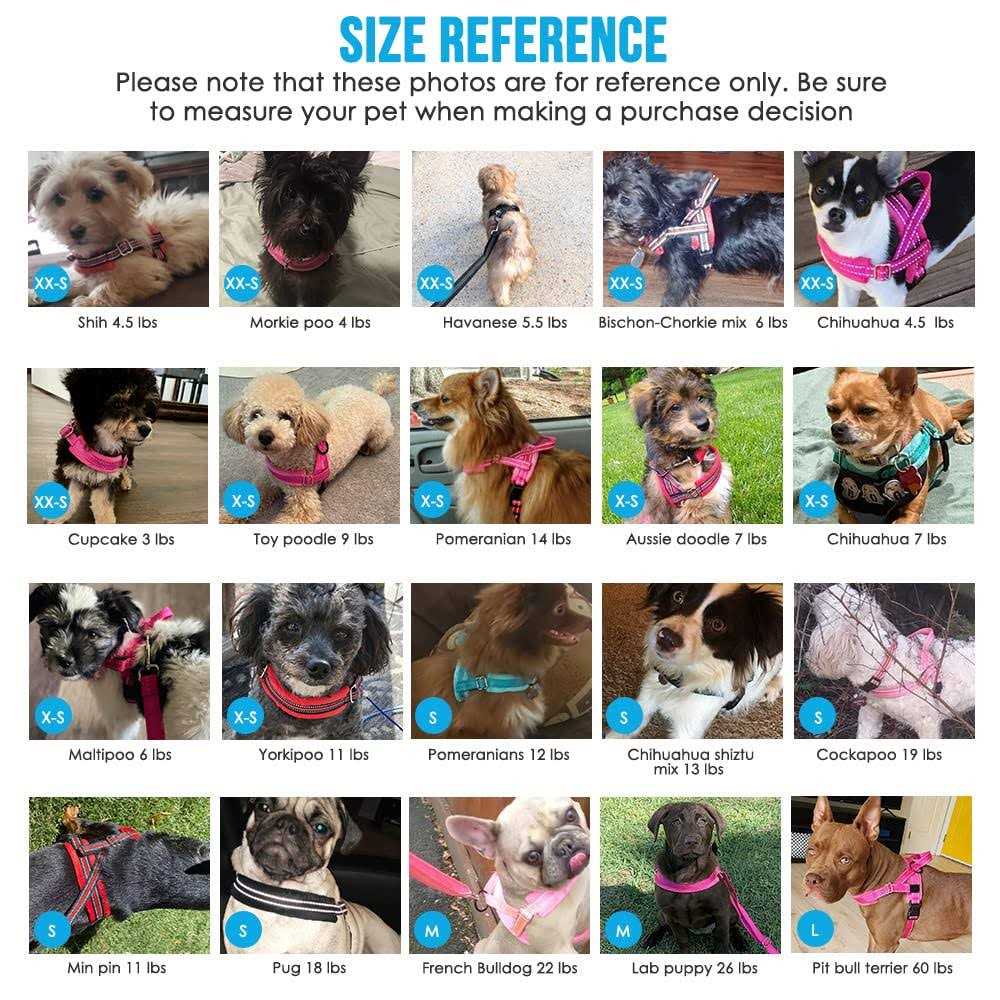 Heavy Duty Adjustable Reflective Dog Harness and Leash C835278