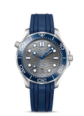 Blue Grey 42mm Dive Watch R926825