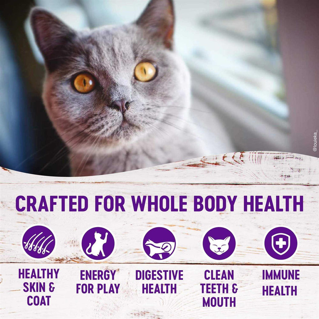 Grain Free Salmon & Herring Indoor Dry Cat Food L404