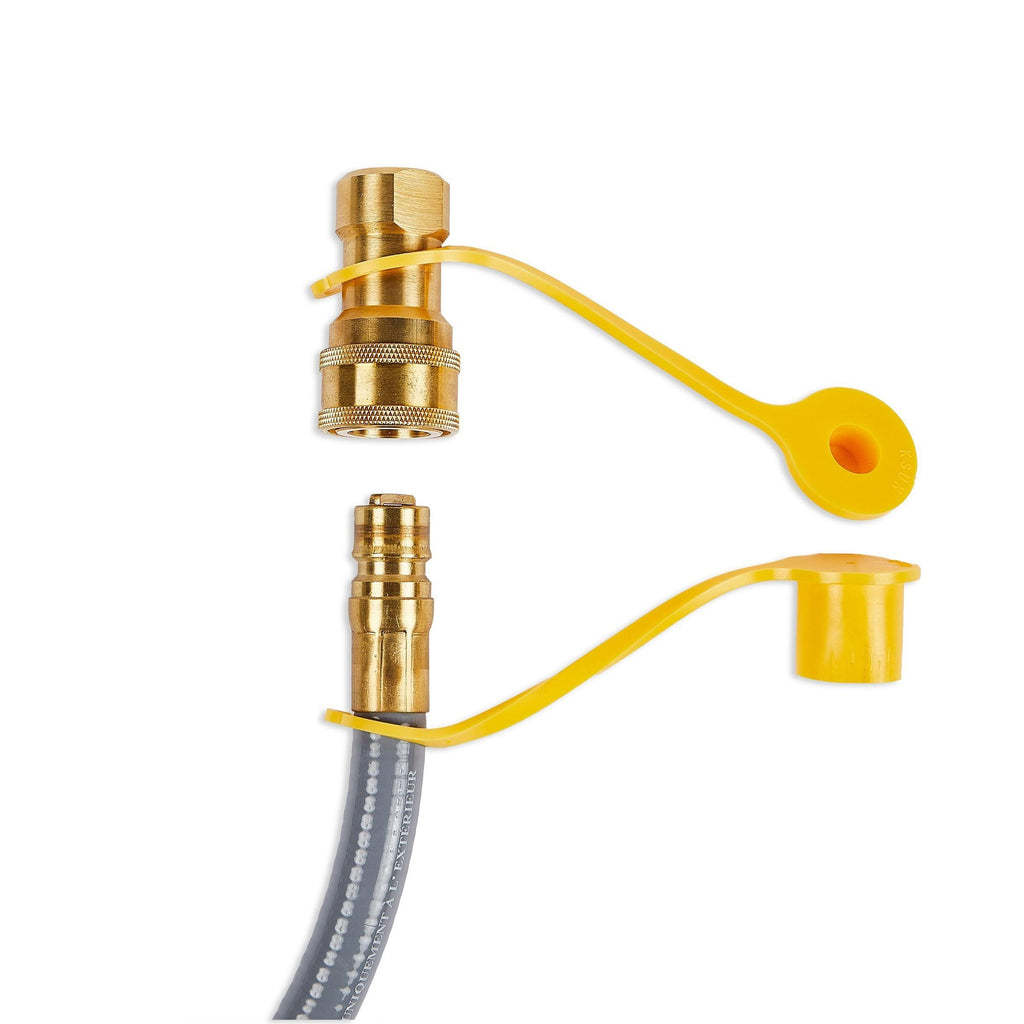 Natural Gas Conversion Kit G70403
