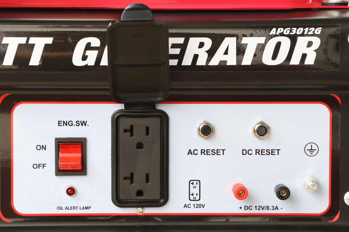3250 Watt Gas Powered Portable Generator E42205