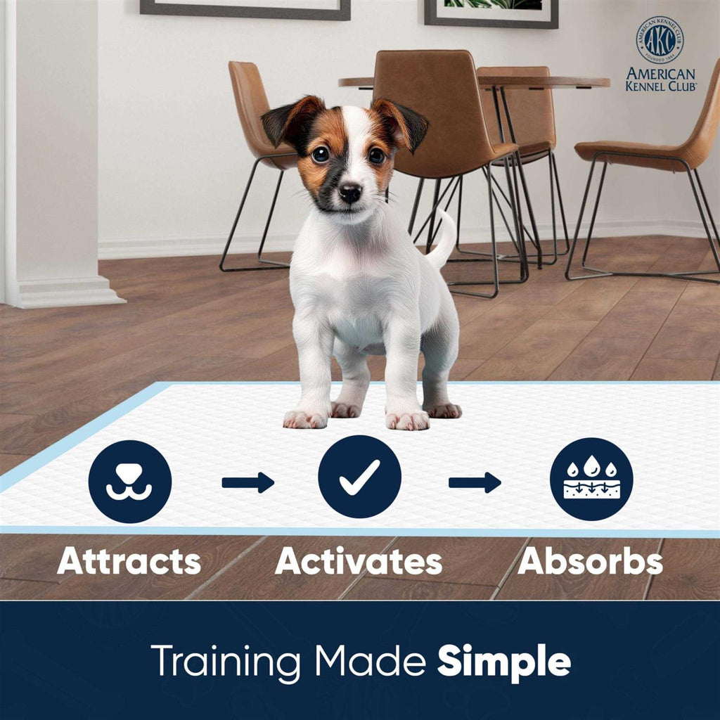 Puppy Training Pads Z32083
