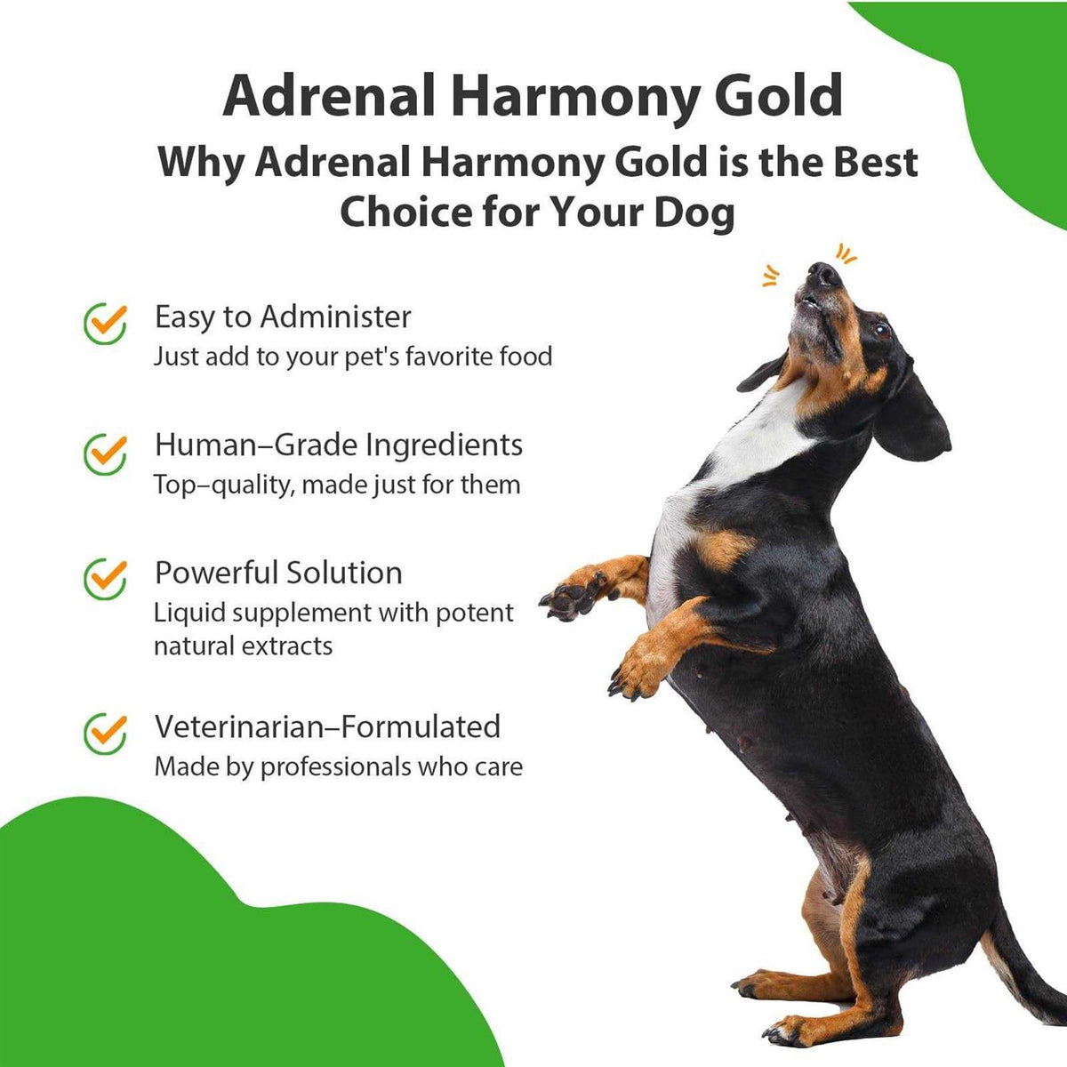 Adrenal Harmony Gold for Dogs R910
