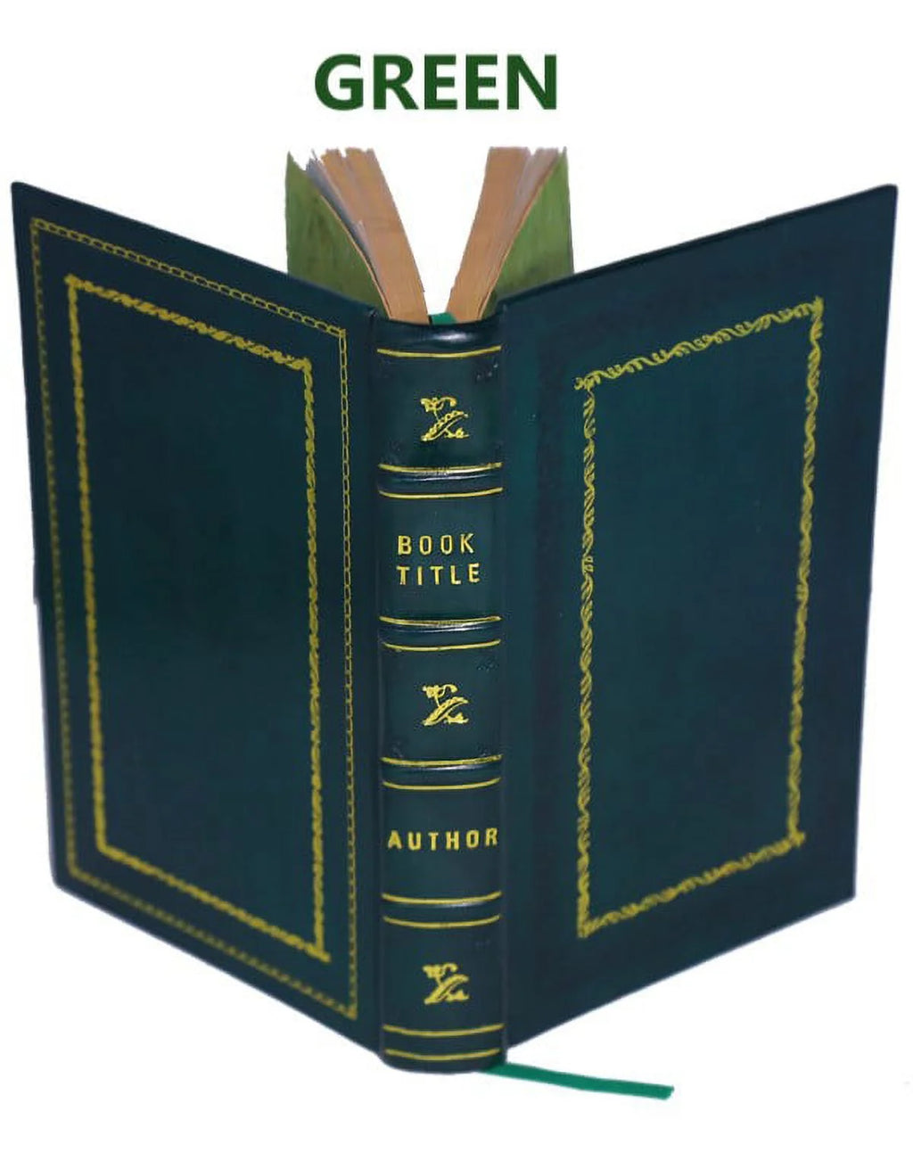 Premium Leather Bound Dracula T702
