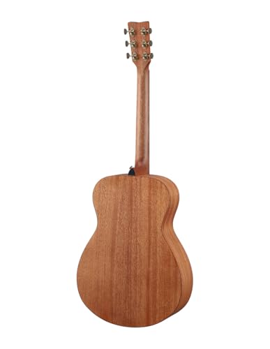 Acoustic Guitar Q7904