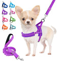 Heavy Duty Adjustable Reflective Dog Harness and Leash C835278