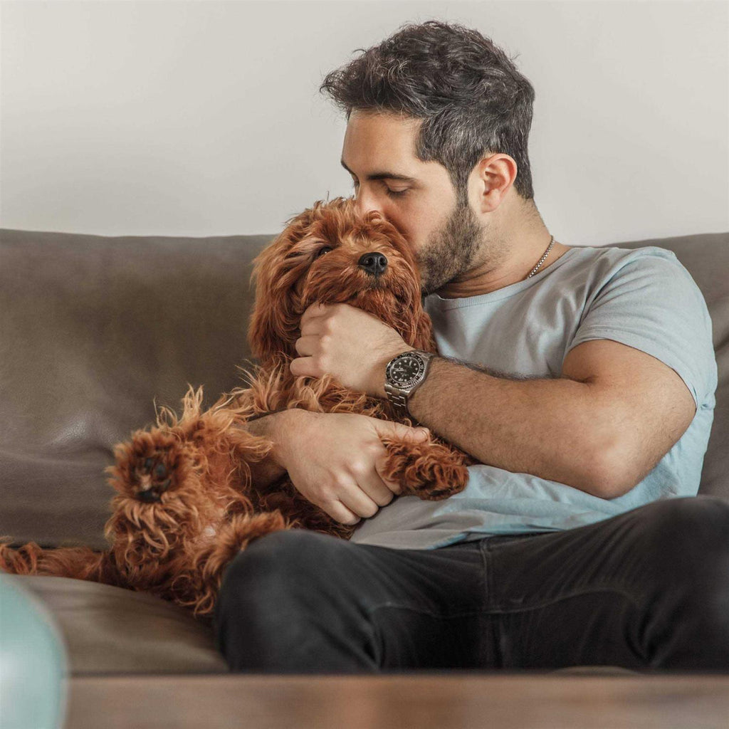 Grain Free Dog Food B4047