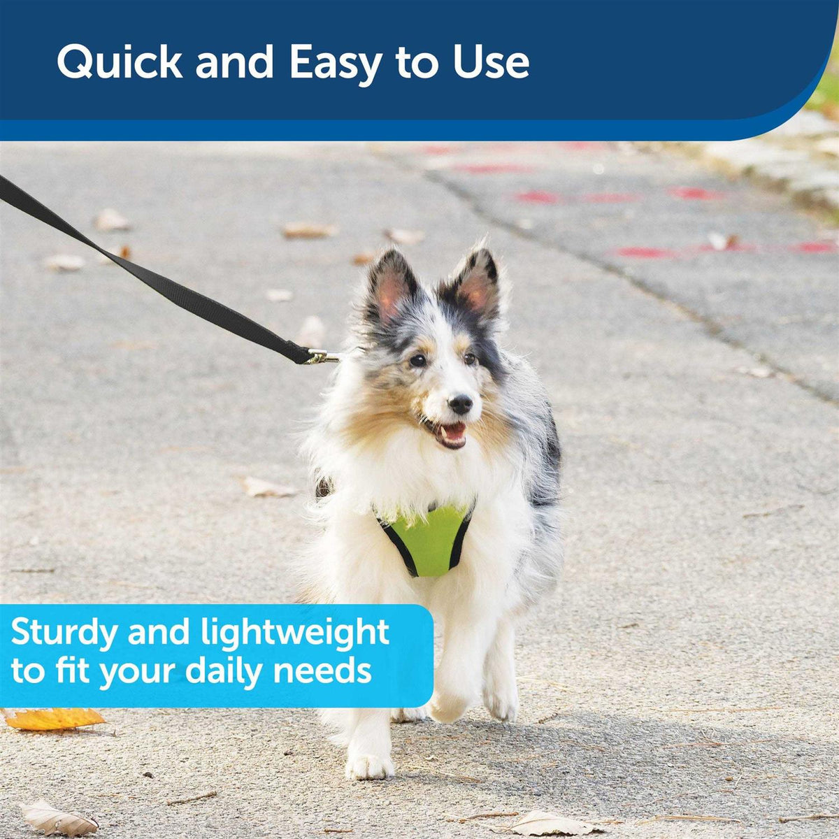 Nylon Dog Leash G631