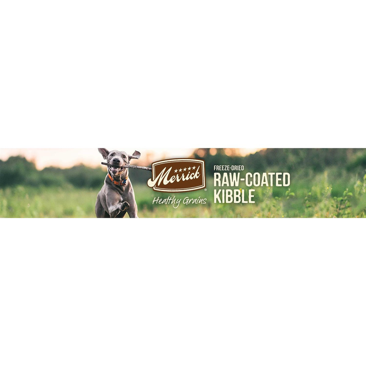 Healthy Grains Freeze Dried Raw Coated Dry Dog Food P639513