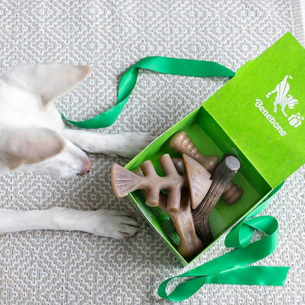 Dog Chew Toy 4 Pack T930534