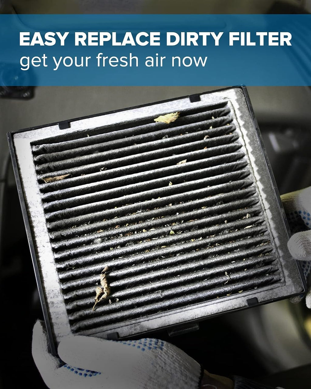 Pack of 2 Cabin Air Filter D176