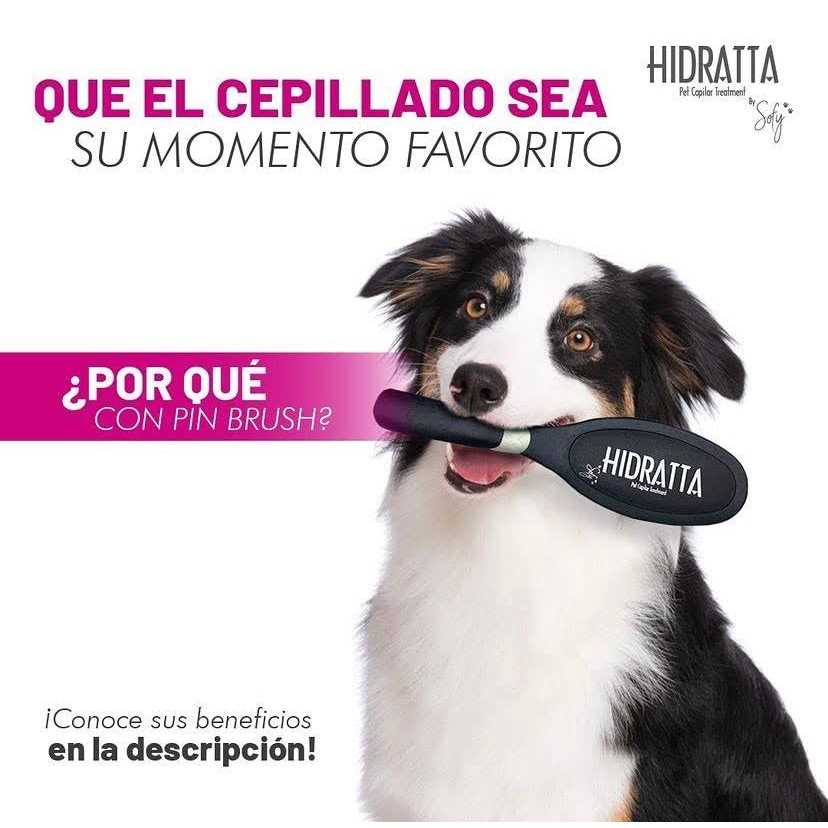 Pet Hairbrush S6692