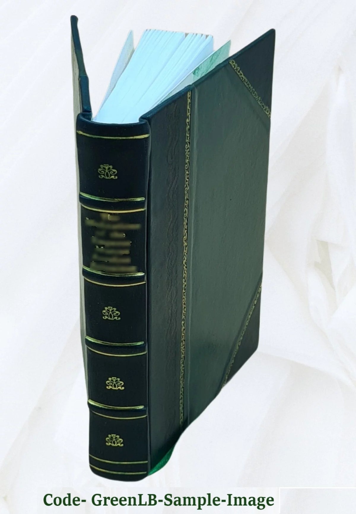 Leather Bound Book W908