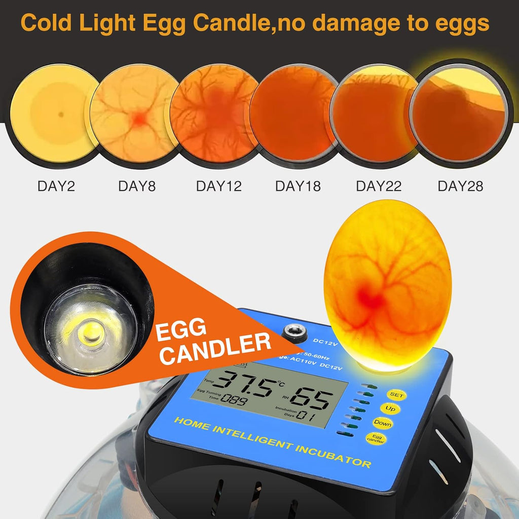 2 Pc Automatic Egg Incubator with Humidity Display J5898