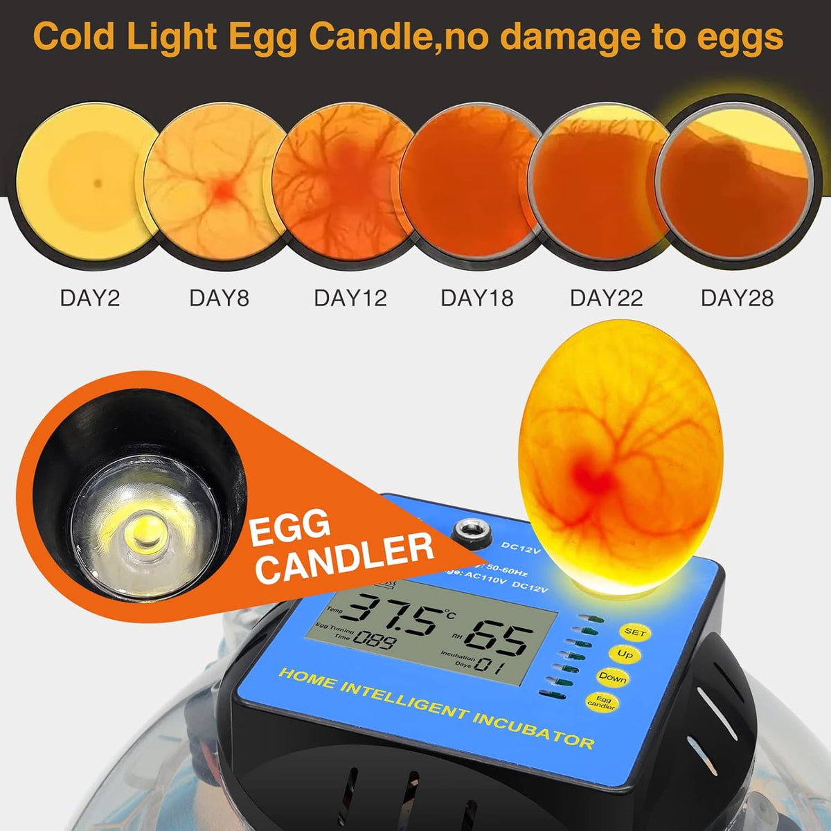 2 Pc Automatic Egg Incubator with Humidity Display J5898