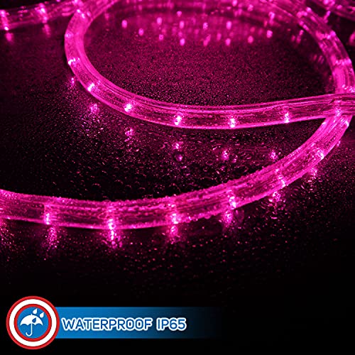 LED Rope Lights Cool White 50 U644