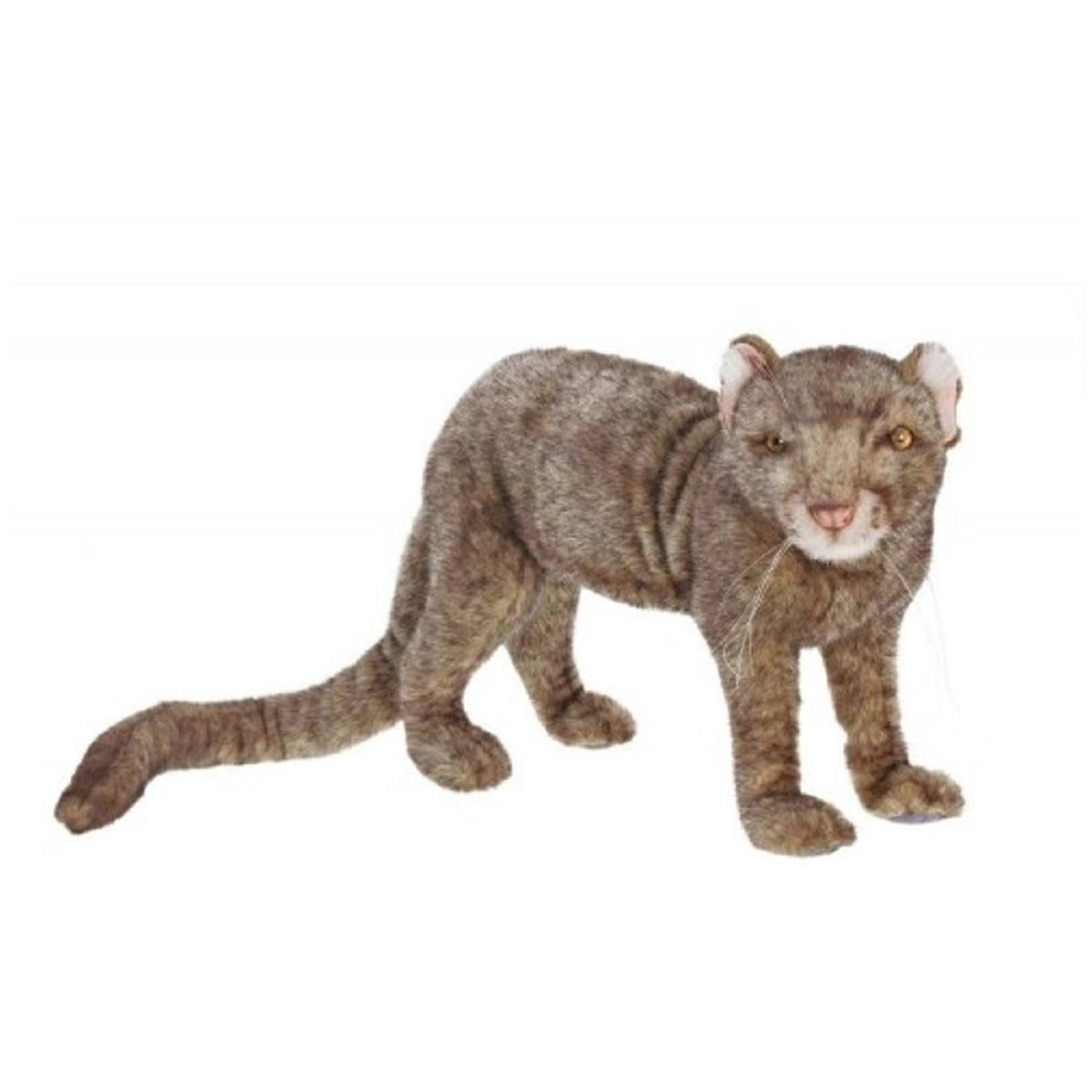 Plush Jaguarondi Stuffed Animals Pack of 2 Y939
