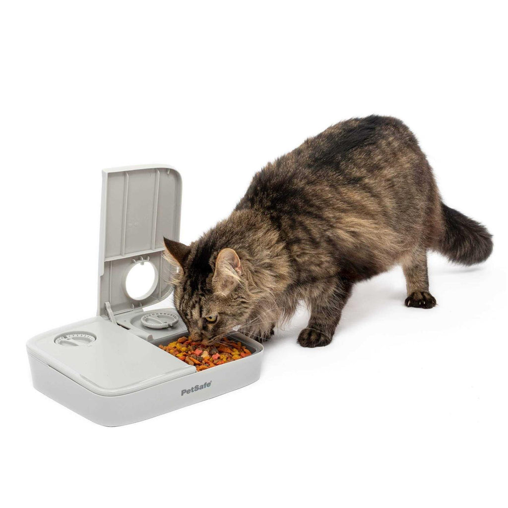 Automatic 2 Meal Pet Feeder L707093